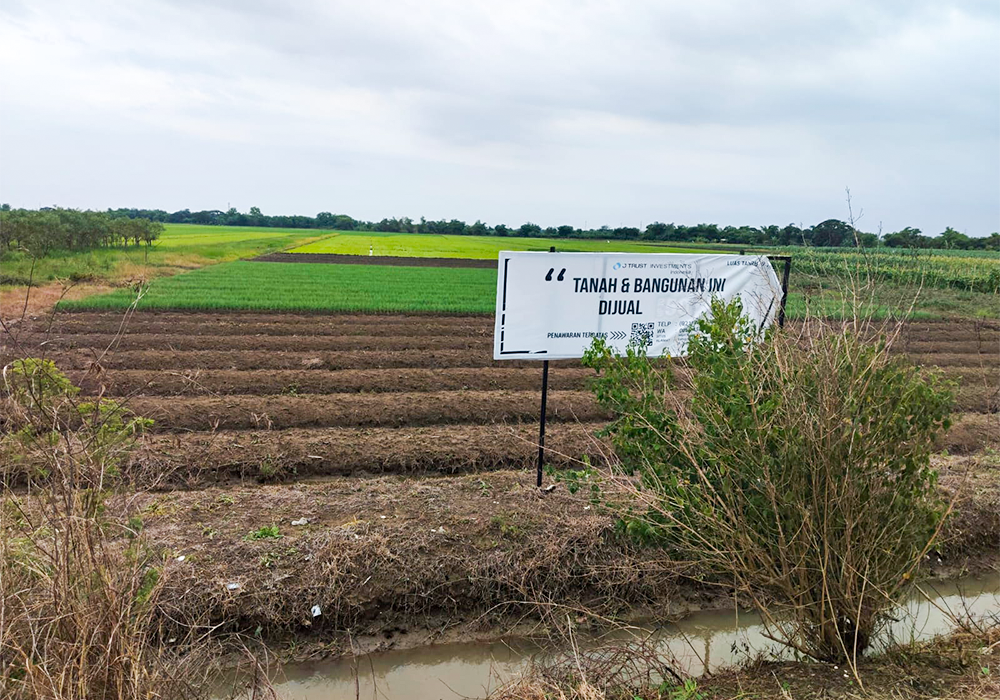 TANAH DI KAB. BREBES - NPL635-2 - foto utama